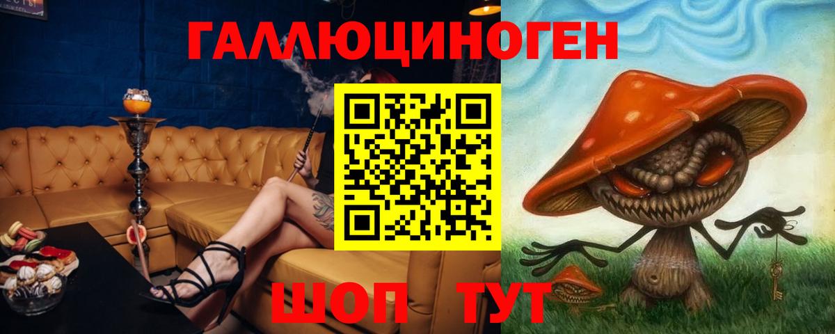 Галлюциногенные грибы Cubensis Качканар